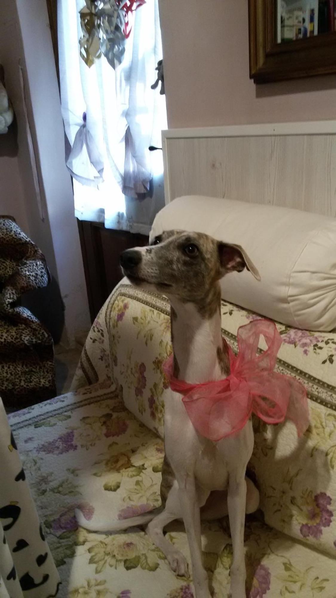 Bed and Breakfast A Casa Di Susi Кастельнуово-дель-Гарда Екстер'єр фото
